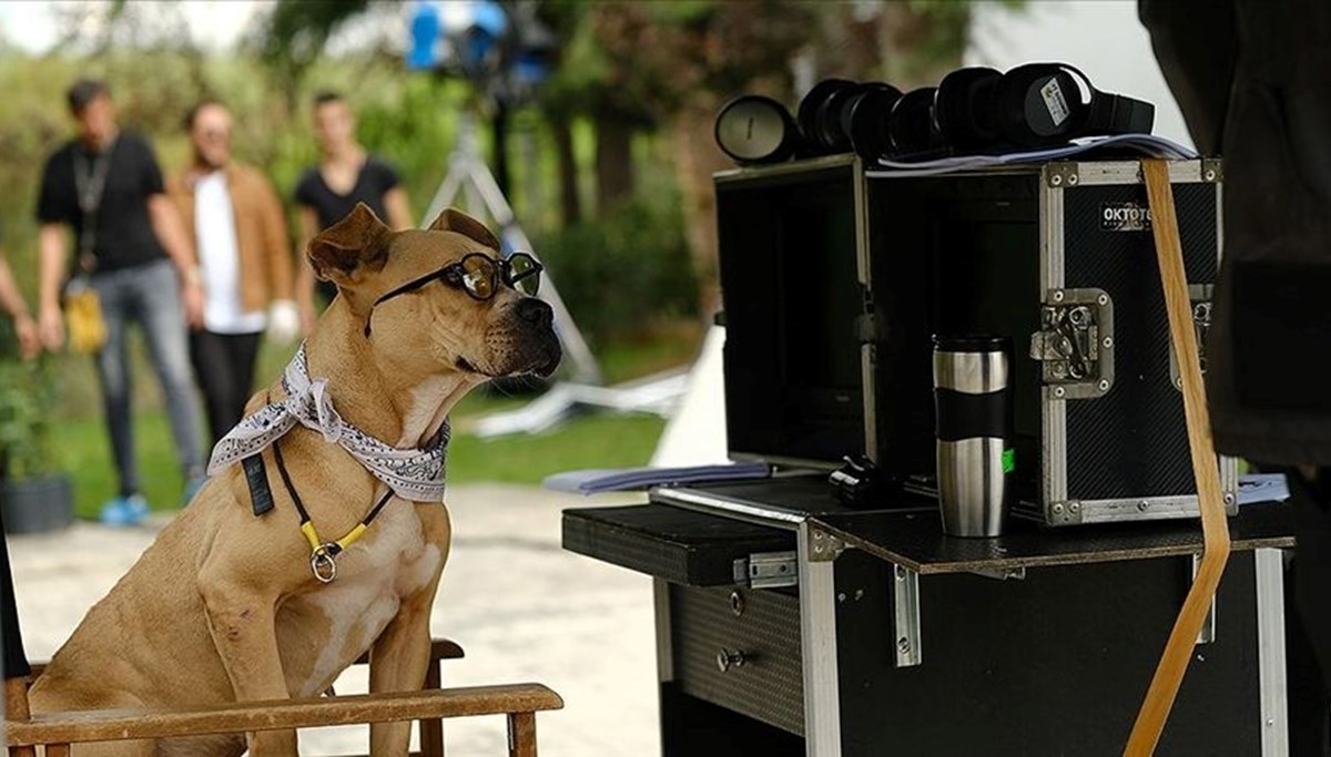 İnternet dizisi 'Dikkat Köpek Var' sinemaya uyarlanıyor