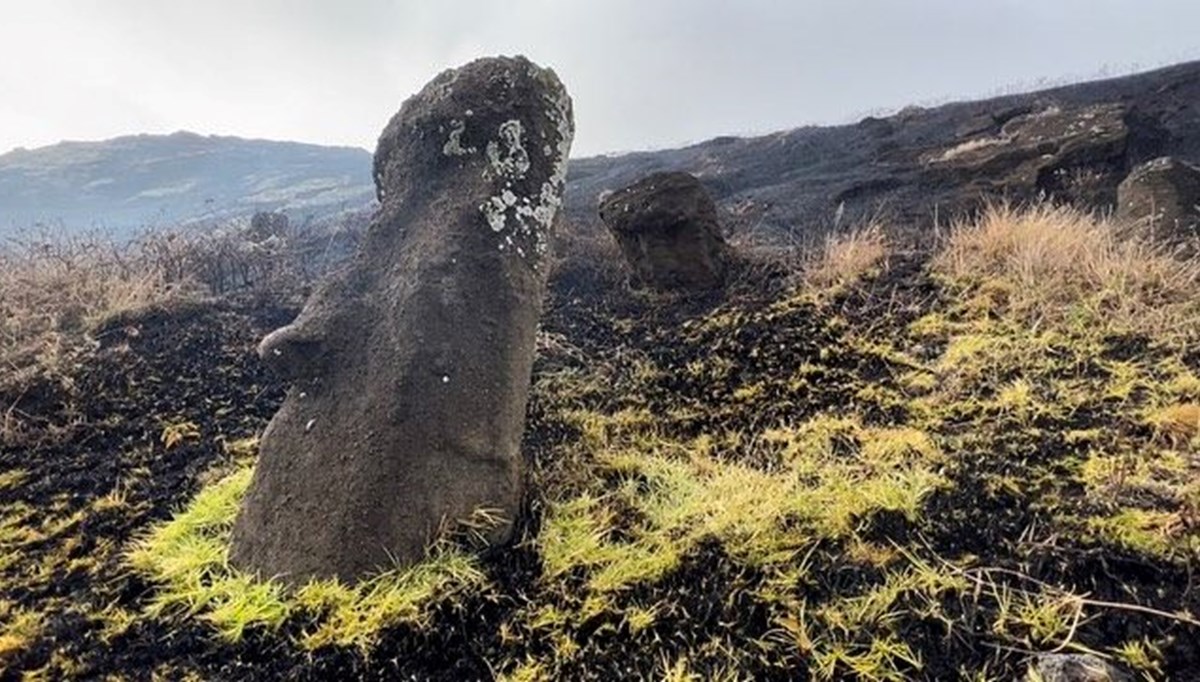 Dünya mirası 500 yıllık Rapa Nui heykelleri yangında onarılamaz hasar gördü